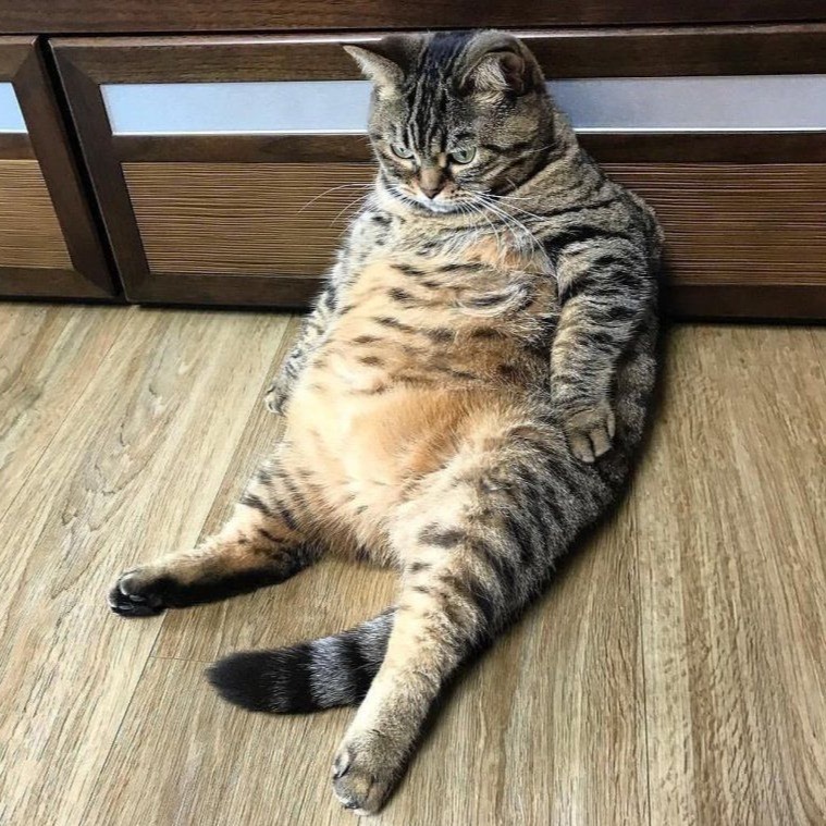 Profile image header